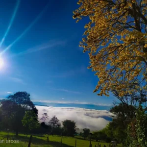 Todas Las Ubicaciones 3 20200076443715 8197462713103255803 n