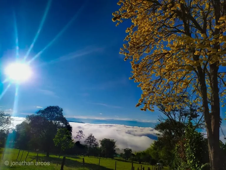 20200076443715 8197462713103255803 n