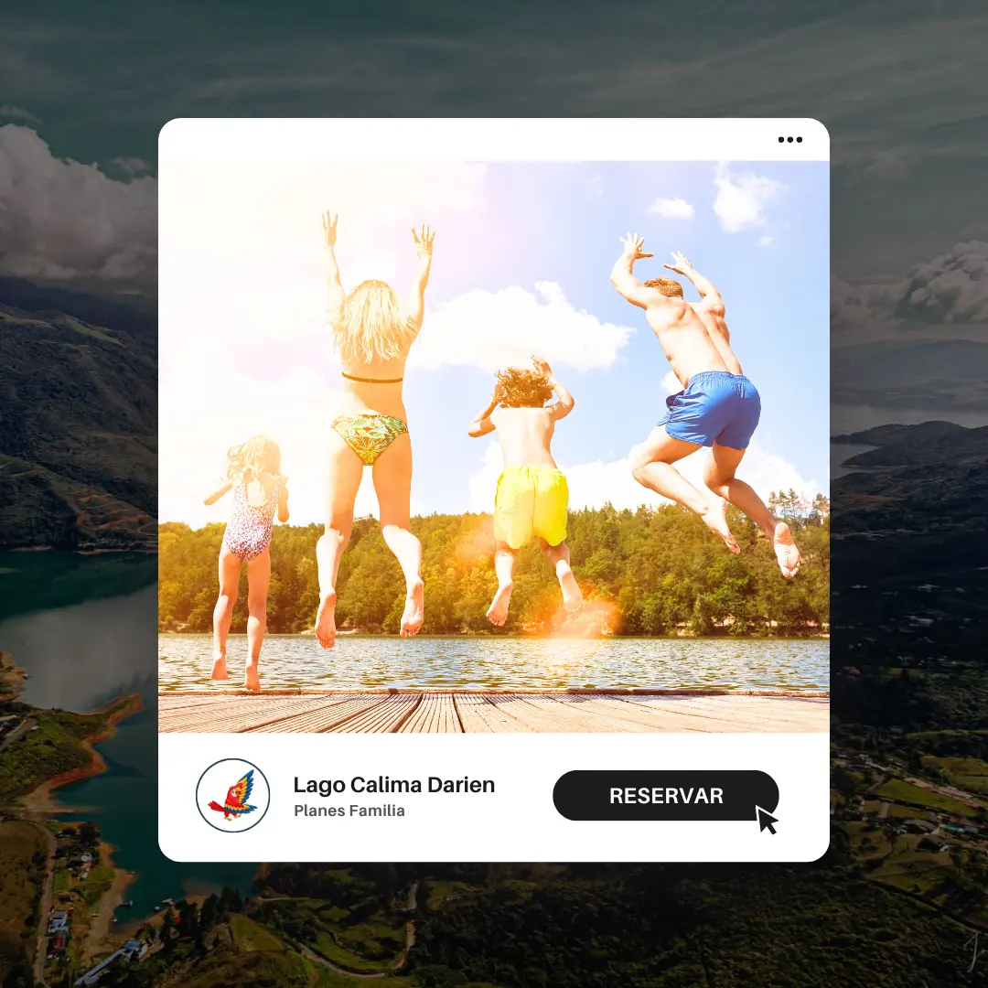 Tipo Alojamiento y/o Plan: <span>Plan Familia</span>