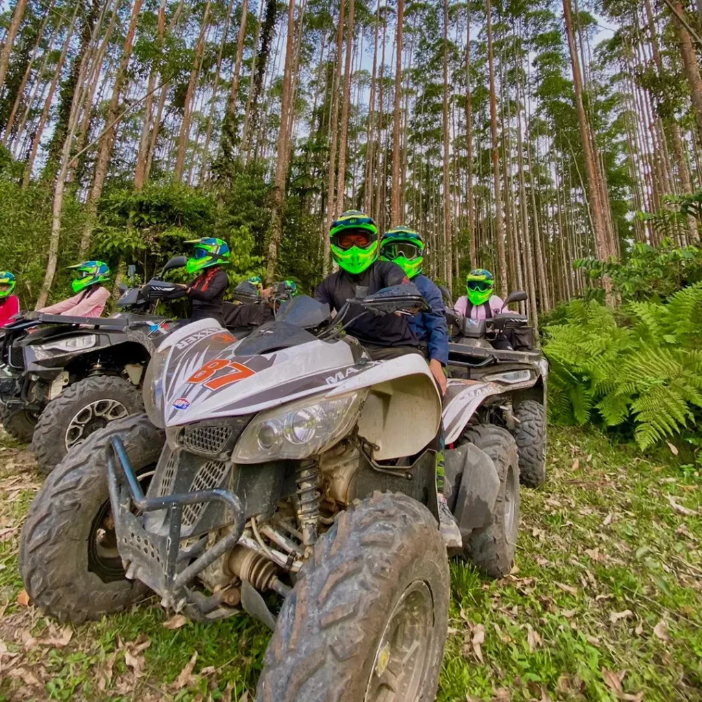 Aventura en cuatrimoto en el bosque de pinos cerca de Lago Calima, ideal para explorar la naturaleza.