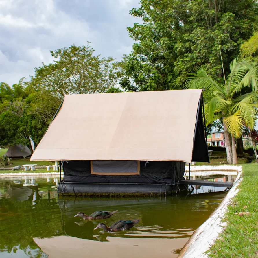 img 4740