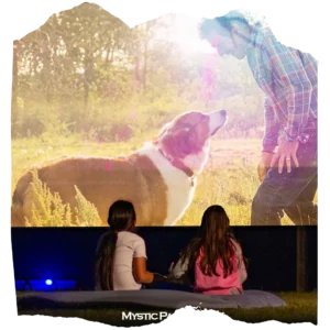 Mystic Paradise 21 11 1 1