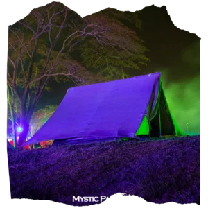 Mystic Paradise 16 13 1 1