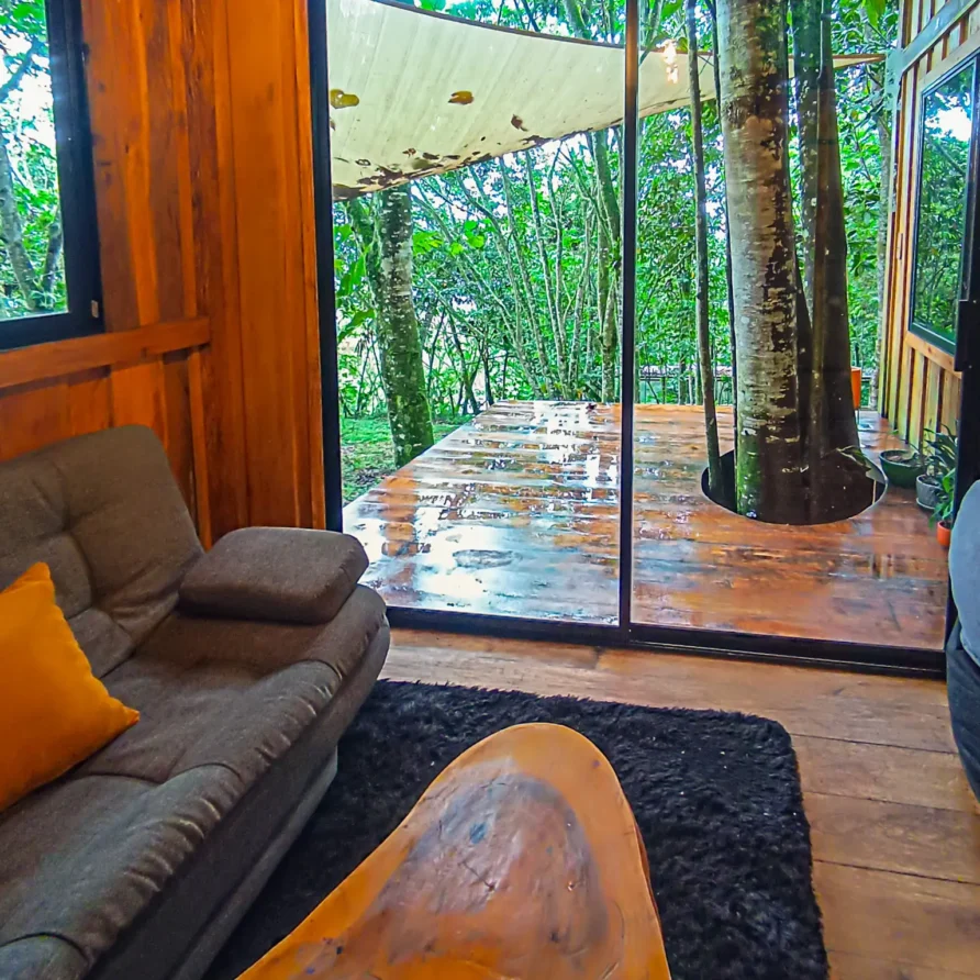 Glamping Cabaña Lago Calima Oasis del Bosque 14