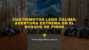 Cuatrimotos en Lago Calima, emocionante actividad en un sendero rodeado por un denso bosque de pinos.