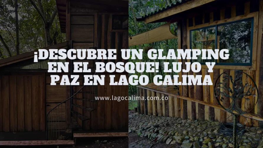 ¡Descubre un Glamping en el Bosque! Lujo y Paz en Lago Calima