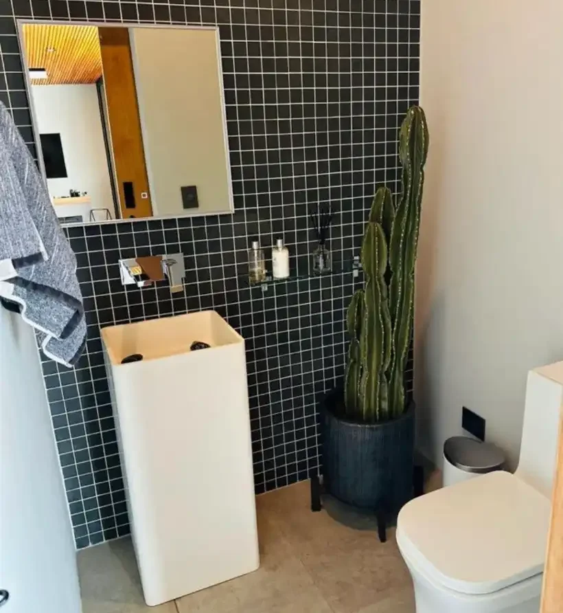 Baño moderno en casa campestre Lago Calima con azulejos negros, lavabo pedestal y cactus decorativo.