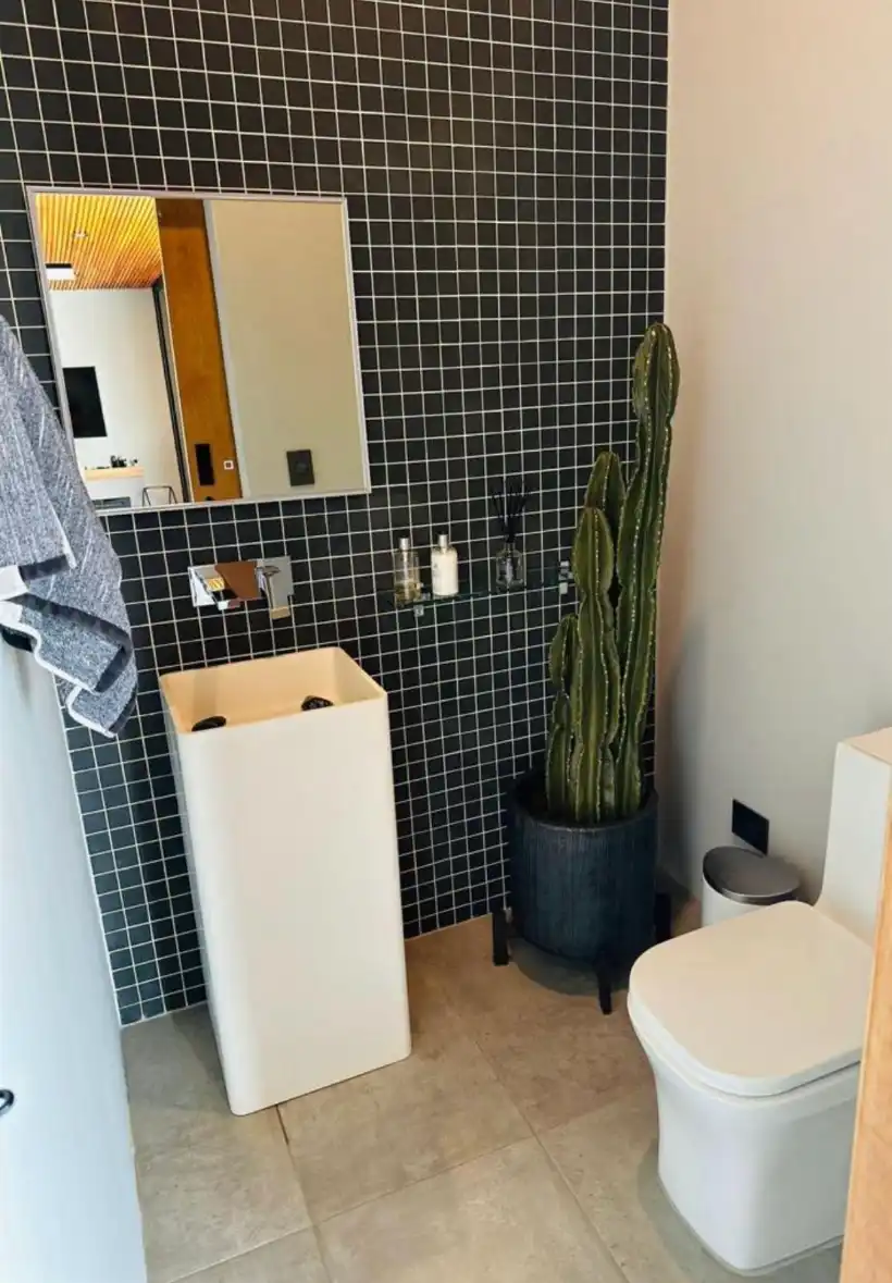 Baño moderno en casa campestre Lago Calima con azulejos negros, lavabo pedestal y cactus decorativo.