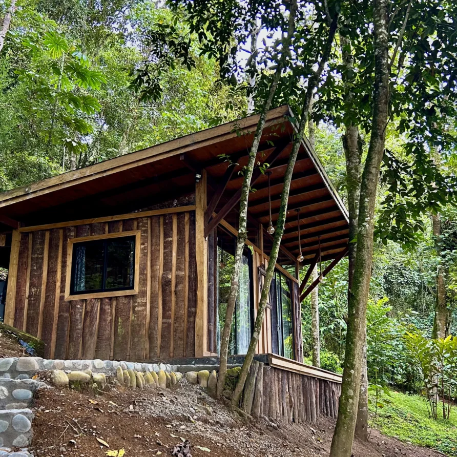 Planes Turisticos 101 Cabaña rústica de madera en un bosque frondoso con escaleras de piedra, ideal para parejas cerca de Lago Calima.