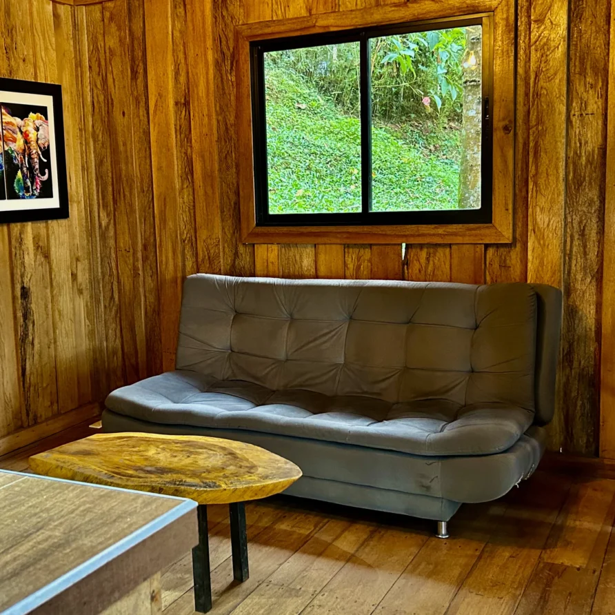 Planes Turisticos 102 Sala acogedora de cabaña en Lago Calima, con paredes de madera, futón y arte de elefantes. Vista al bosque.