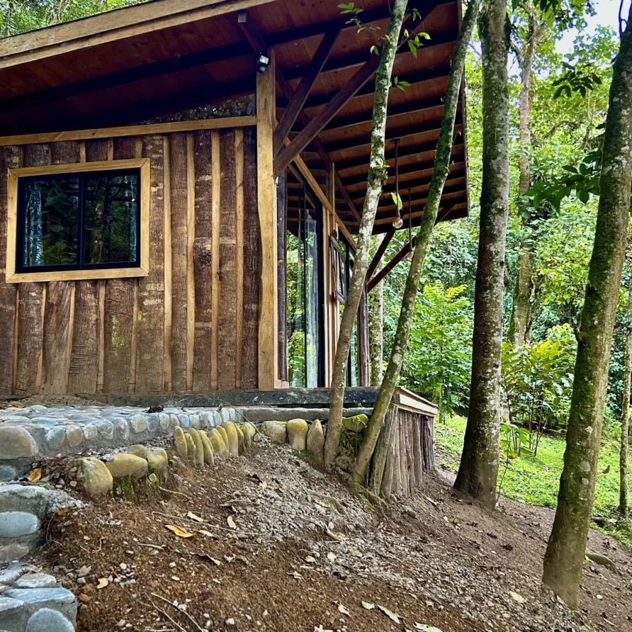 Planes Turisticos 104 Cabaña rústica de madera Crisalida en un denso bosque tropical, con escaleras de piedra y entorno natural.