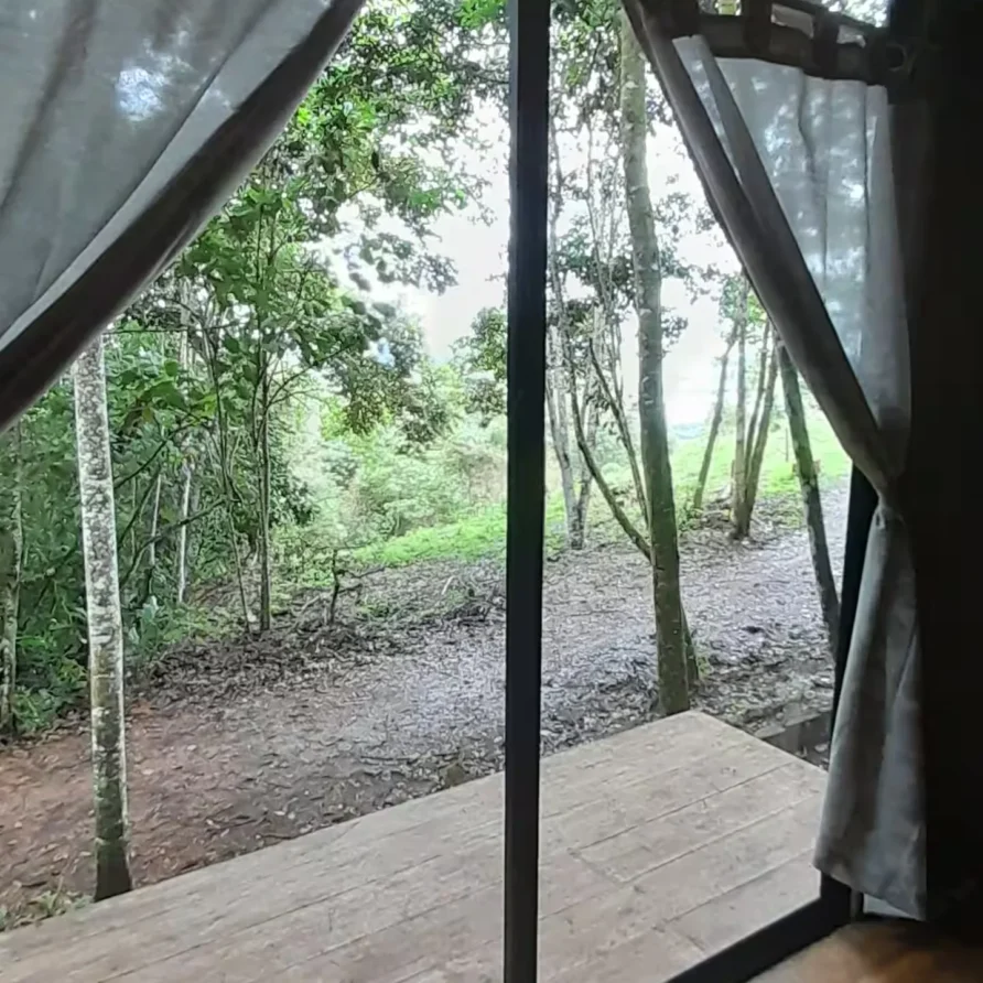 Planes Turisticos 122 crisalida 11